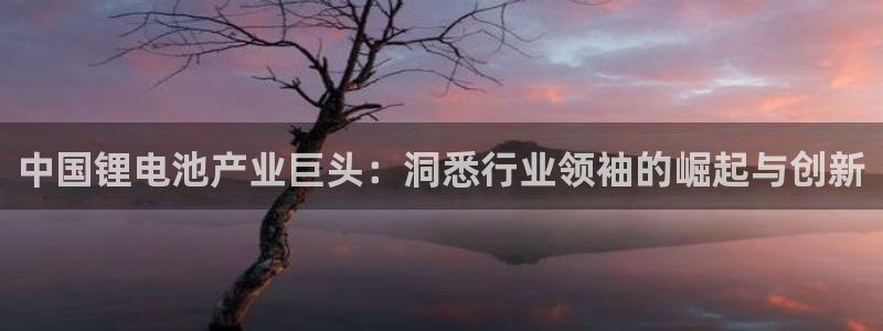 尊龙app注册官网