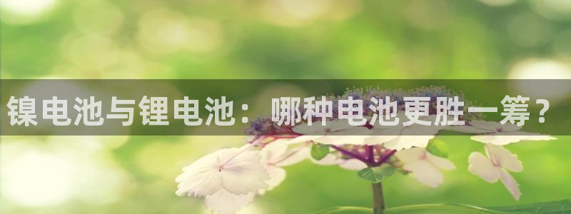 尊龙凯时-人生就是博中国官网