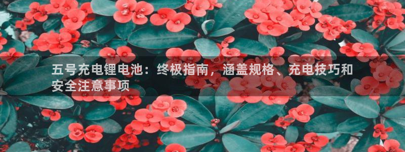 尊龙app怎么样