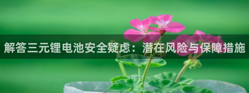 尊龙ag旗舰厅手机版