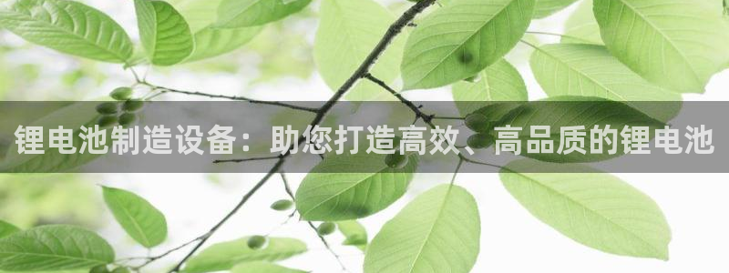 尊龙人生就是博中国区