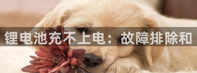 尊龙凯时人生就是博·(中国)官网首页