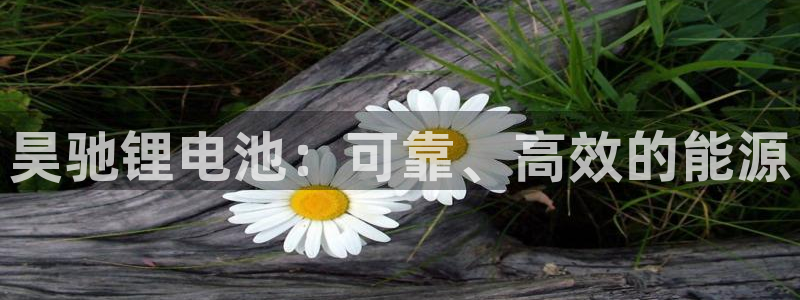 尊龙官网注册