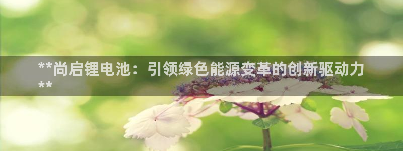 尊龙凯时官网首页