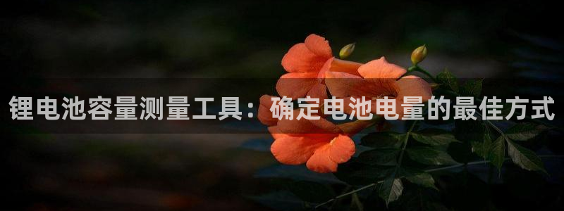尊龙凯时平台有没有不到账的
