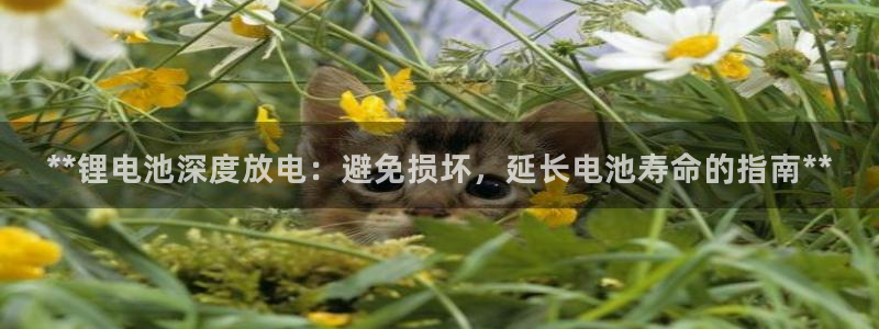 尊龙官方身高