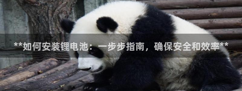 尊龙网址是选访问zd207