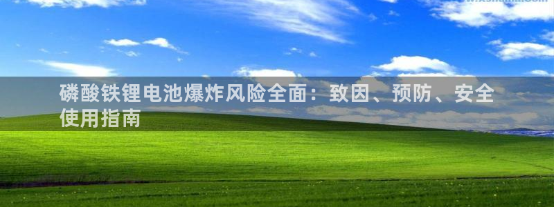 下载尊龙app
