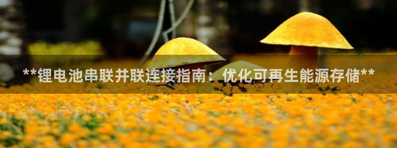 尊龙凯时ag旗舰厅