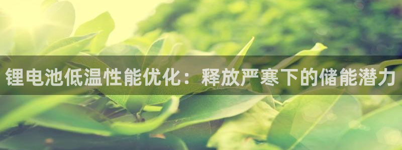 尊龙这个平台怎么样