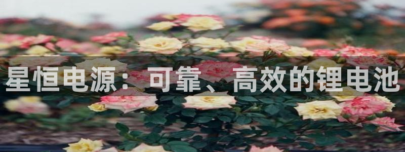 凯时登录