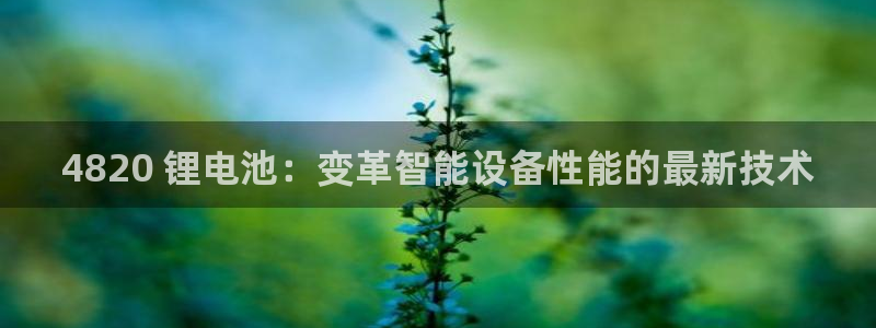 尊龙官网免费下载安装