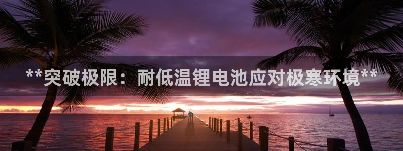 尊龙人生就是博手机版下载
