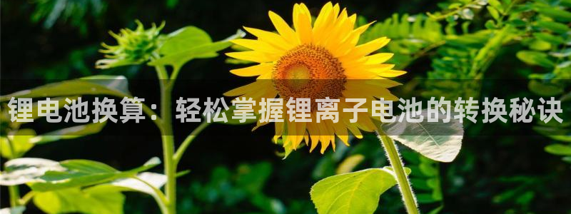 尊龙网平台