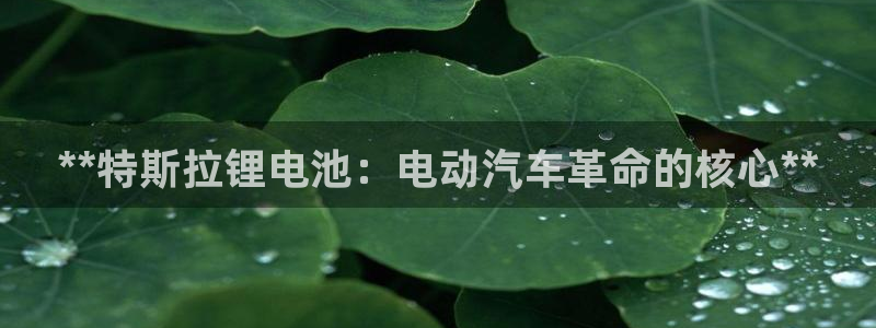 尊龙人生就是博l