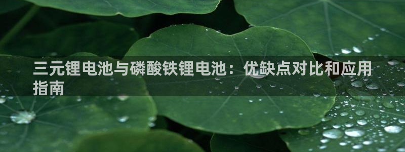尊龙怎么没消息了