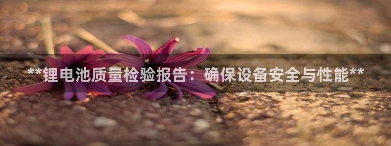 尊龙凯时充值不到账