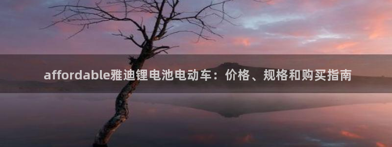 尊龙 6