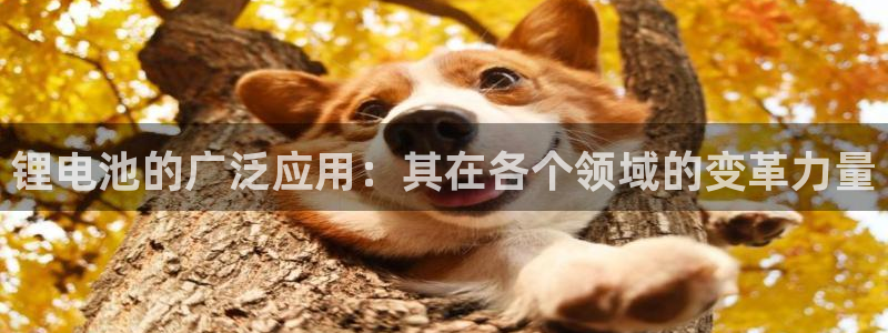 尊龙软件下载