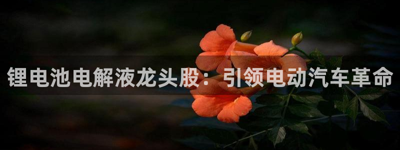 AG尊龙登陆网址