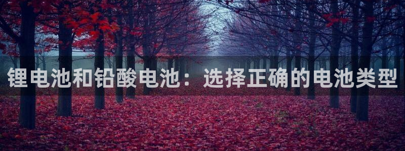 尊龙凯时凯发官网