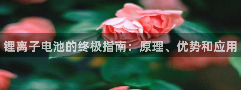 尊龙新版app首页