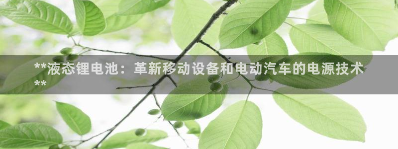 尊龙得过奥斯卡吗