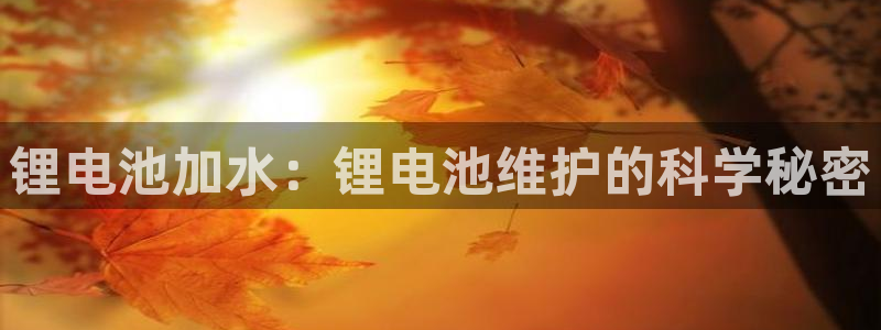 凯时平台登录