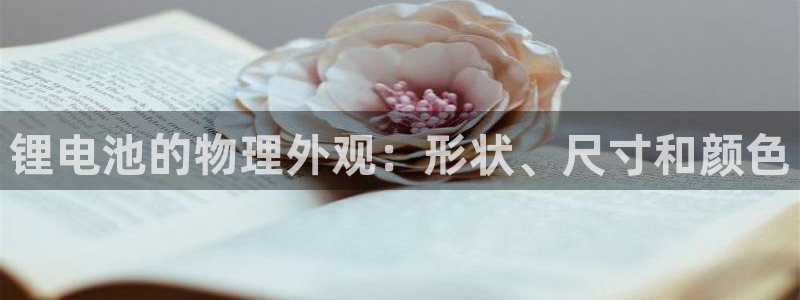 尊龙新版官网网页版