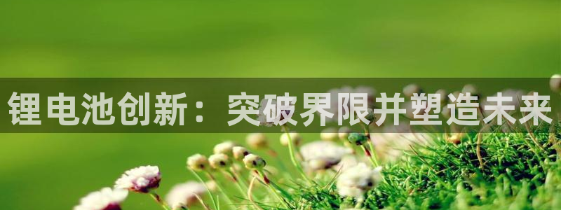 尊龙凯时 人生就是搏客服