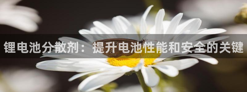 尊龙凯时新闻