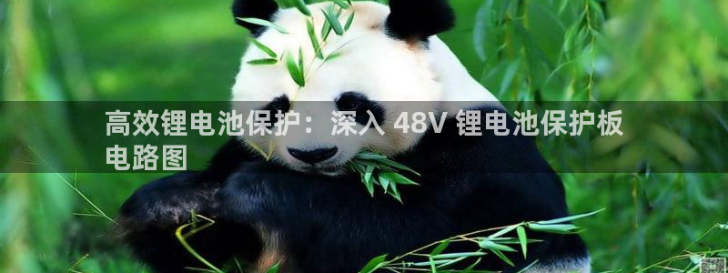 尊龙凯时vip