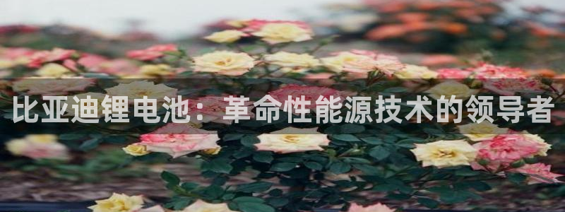 尊龙会