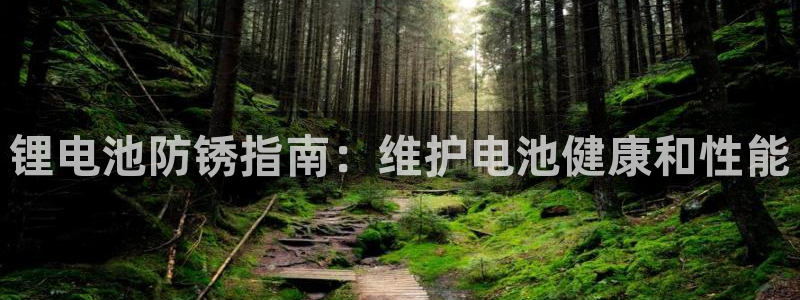凯时k66登录