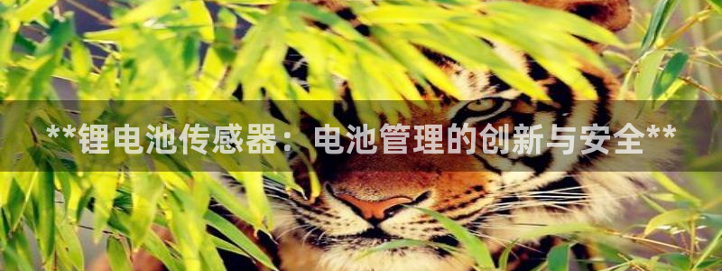 尊龙ag旗舰厅官网·(中国)官方入口