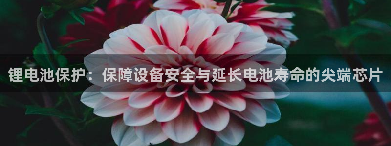 尊龙凯时百家乐手机下载