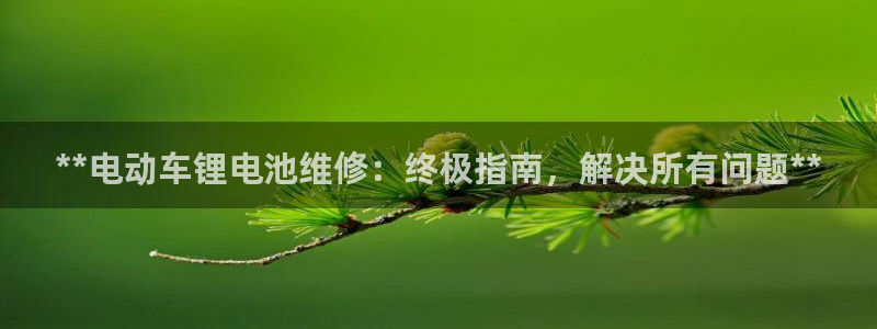 凯时国际app首页