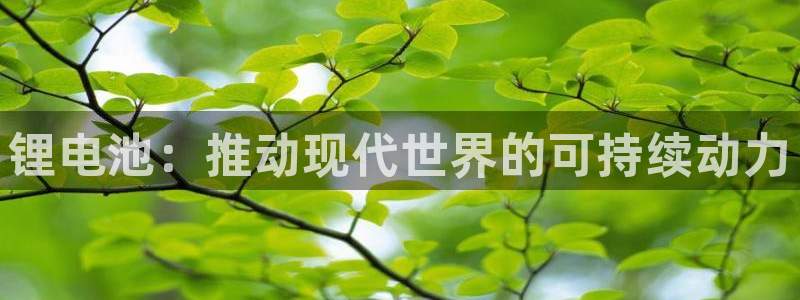 尊龙凯时人生就是搏 品牌专区