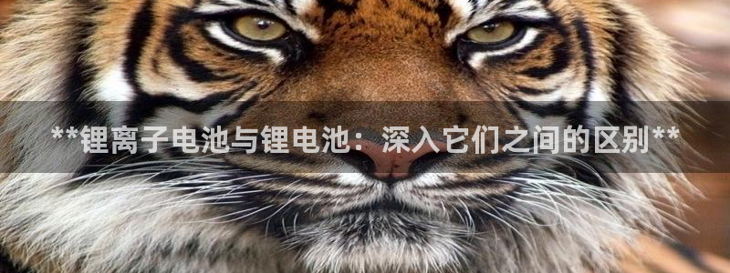 尊龙凯时产品系列