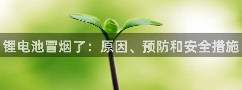 凯时K66最新版本下载