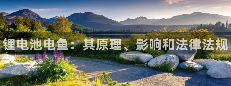 凯时平台官网RA来就送38