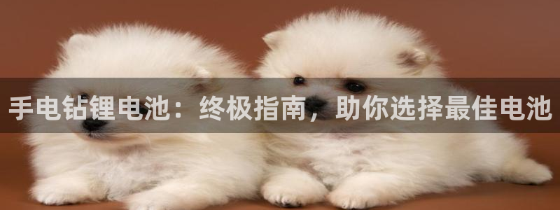 尊龙凯时官网平台