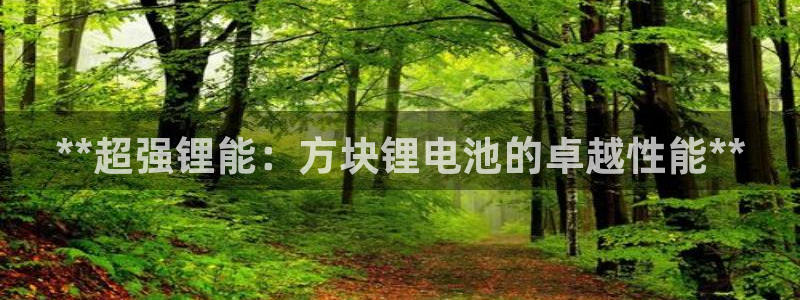 尊龙是什么软件