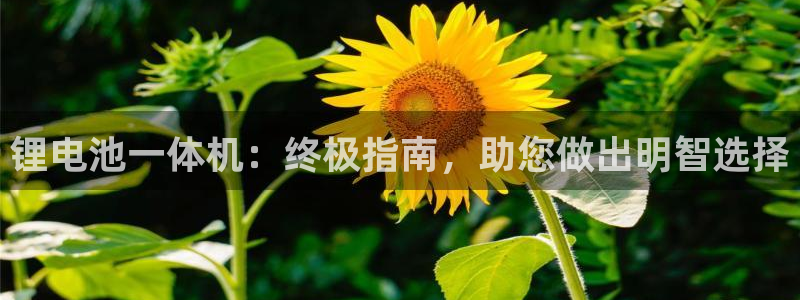 尊龙官方网站最新版V9.3.06介绍