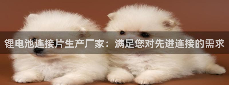 尊龙凯时-人生就是博中国官网最新