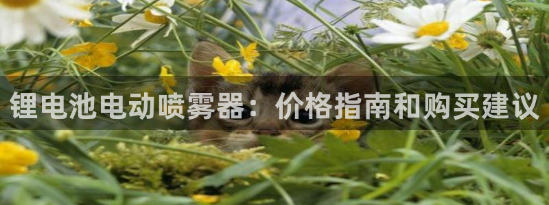 尊龙信息科技有限公司