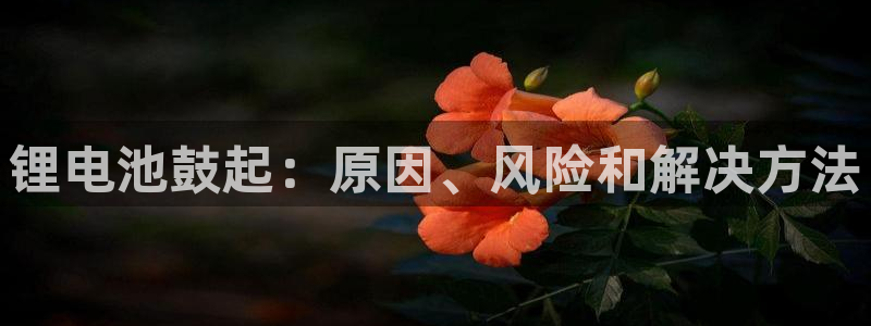 尊龙集团有限公司地址