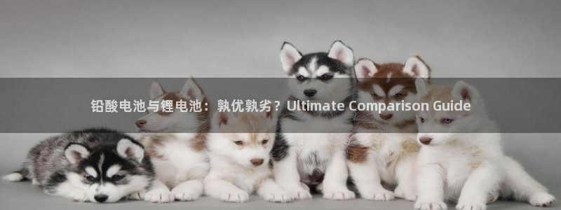 凯时K66最新版本下载