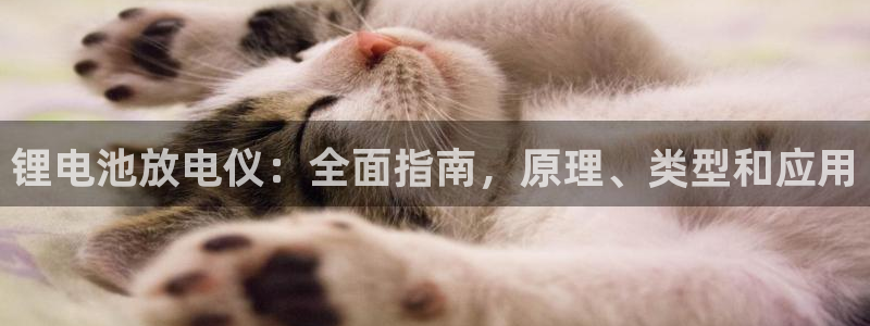 凯时国际app首页下载