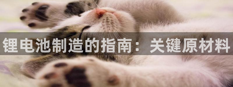尊龙集团有限公司招聘